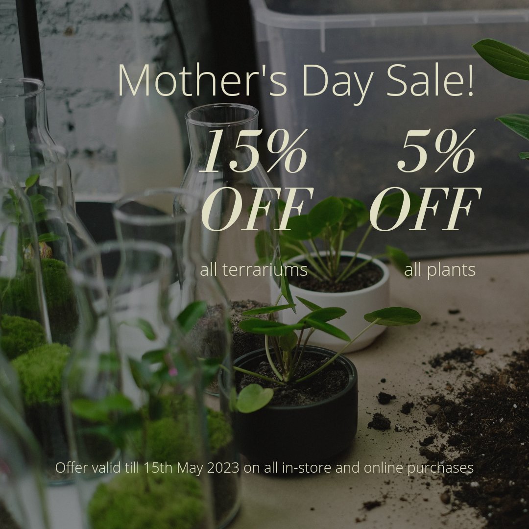 Celebrate Mother's Day with a special sale on terrariums and plants! From now until May 15th, get 15% off all terrariums and 5% off all plants.
Order now from our website and get free delivery for all orders over MVR 500! Visit our website at dheli.art
