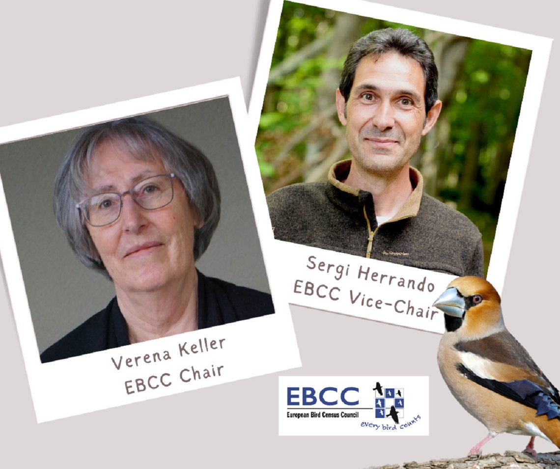_EBCC's tweet photo. @_EBCC has a new Chair, Verena Keller, and Vice-Chair, Sergi Herrando.
Good luck in their new roles!
Read more https://t.co/1zfhOEw36n https://t.co/GJL6mtTlqm