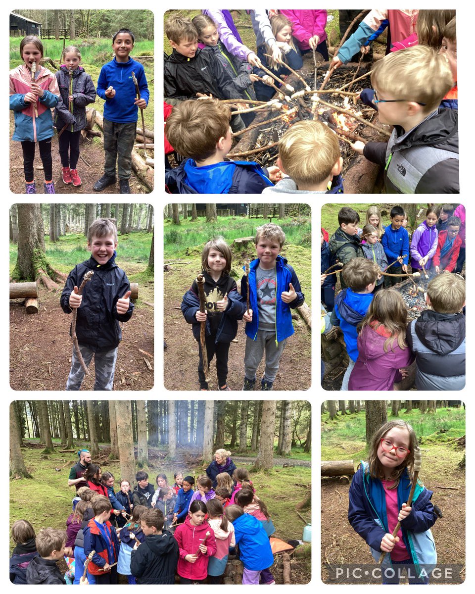 Coquet Park First School tweet media