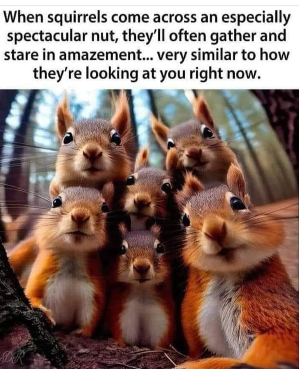 eoinwalsh1970's tweet image. #amchamhack 
#AmChamHackers