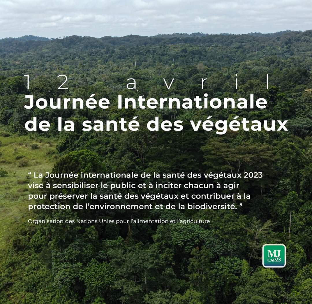 mikejocktane's tweet photo. Pour cette journée consacrée à la santé des végétaux je tiens à réitérer mon engagement pour un #Gabon_Vert.
Pour un développement économique durable, il importe d'aborder certaines problématiques, tels la déforestation, le conflit homme-faune, la promotion du #Made_in_Gabon

#MJ https://t.co/li9yAQWUXN