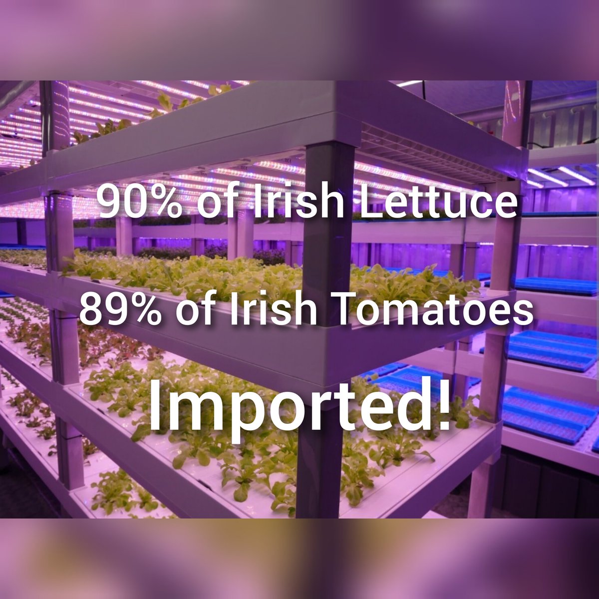 eoinwalsh1970's tweet image. #amchamhack 
#AmChamHackers