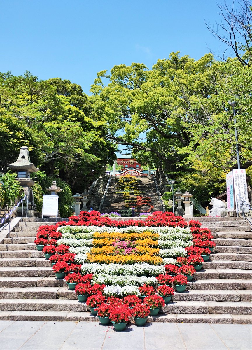 venayamaguchi's tweet photo. Durante un mes y hasta este domingo, la escalinata del santuario Tenmangu de Hofu se ha adornado con decenas de flores, que este año han formado la palabra "shiawasemasu" (幸せます). En el dialecto local significa “me hace feliz”, “me alegro”, “me viene bien” o “estoy agradecido” https://t.co/gyiwJrOMQq