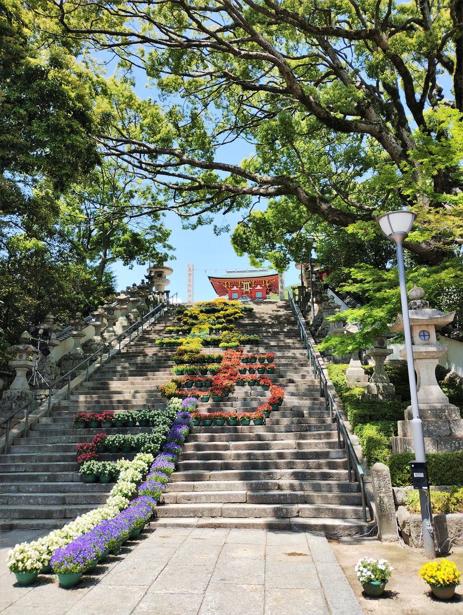venayamaguchi's tweet photo. Durante un mes y hasta este domingo, la escalinata del santuario Tenmangu de Hofu se ha adornado con decenas de flores, que este año han formado la palabra "shiawasemasu" (幸せます). En el dialecto local significa “me hace feliz”, “me alegro”, “me viene bien” o “estoy agradecido” https://t.co/gyiwJrOMQq