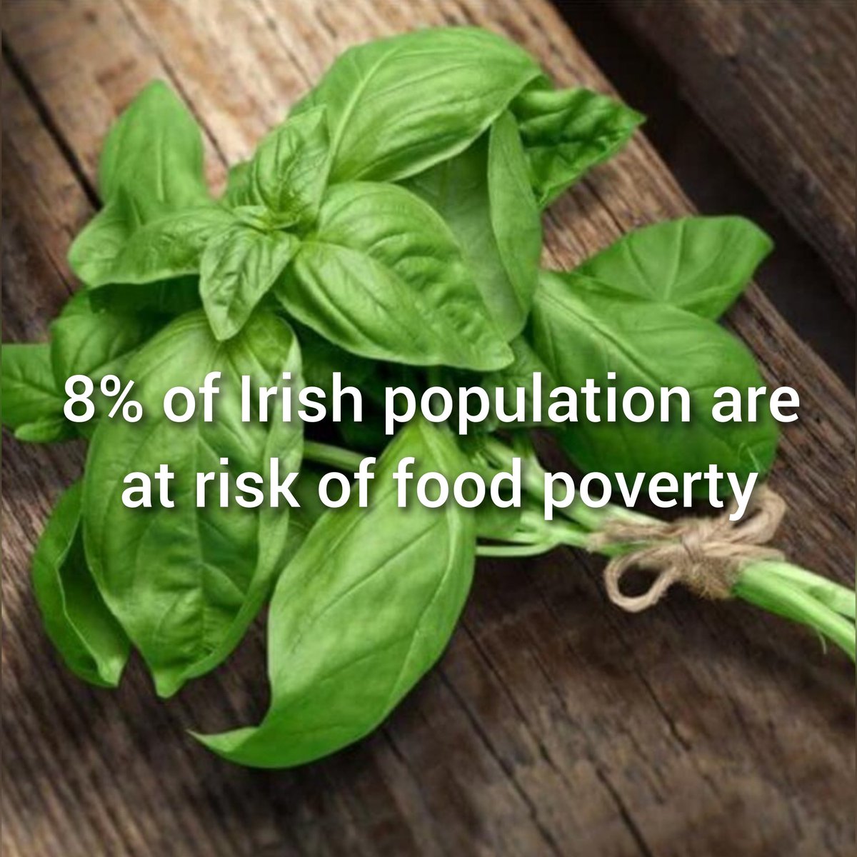 eoinwalsh1970's tweet image. #amchamhack 
#AmChamHackers