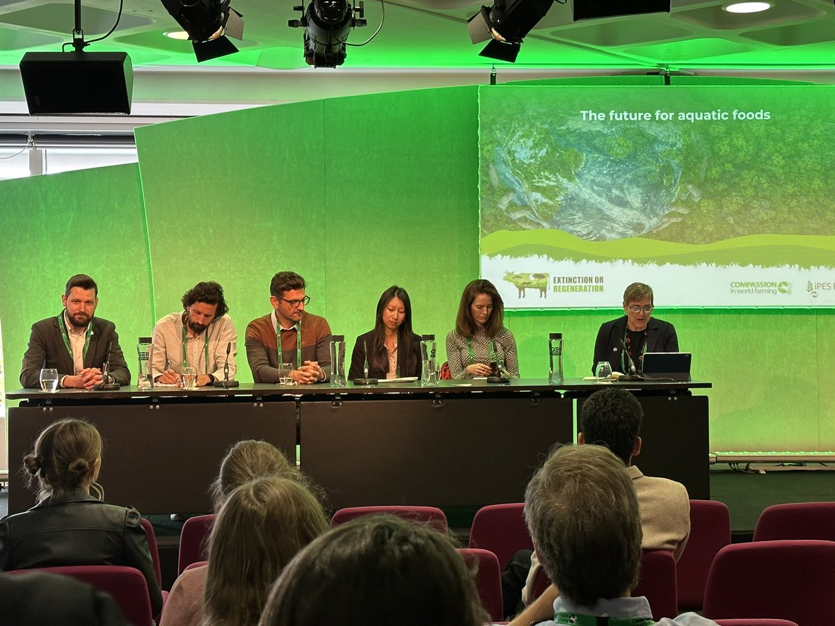 SeafoodResearch's tweet photo. Great panel on the future of aquatic foods at Extinction or Regeneration Conference
#animalwelfare
#fishwelfare #science #fishbehaviour ##fishcare #animalbehaviour #welfaresolutions https://t.co/Q5wDeilMBQ