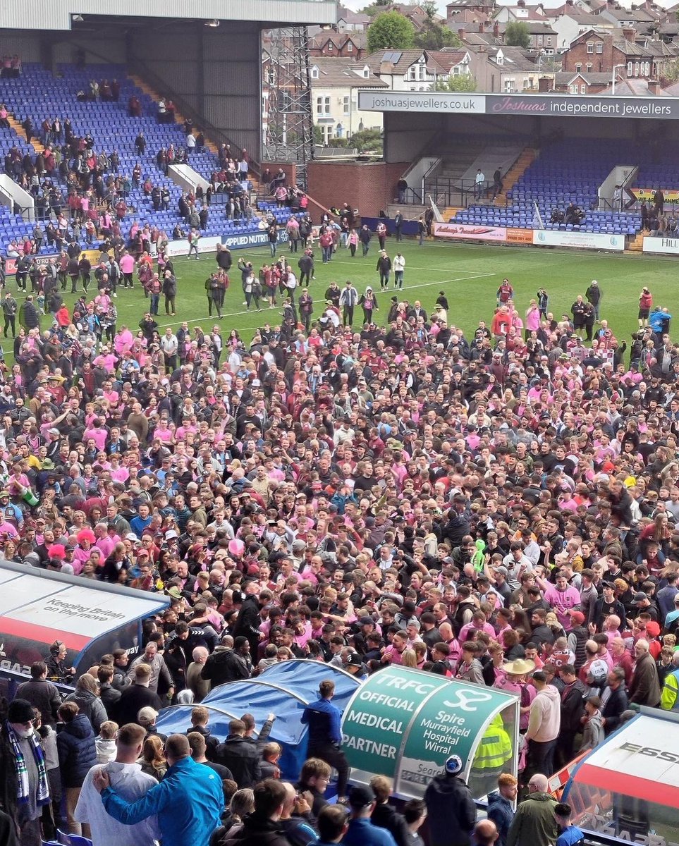 David Norman Jr tweet media