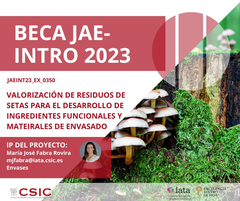 ¿Quieres unirte a nuestro grupo de investigación del <a href="/iata_csic/">IATA CSIC</a>? Aún puedes solicitar la becaJAE Intro. Contacta para más info sobre tu futuro proyecto de formación.