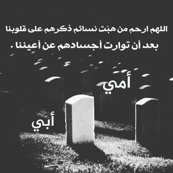 ༊෴✿طيب الطيبين ✿〄 tweet media