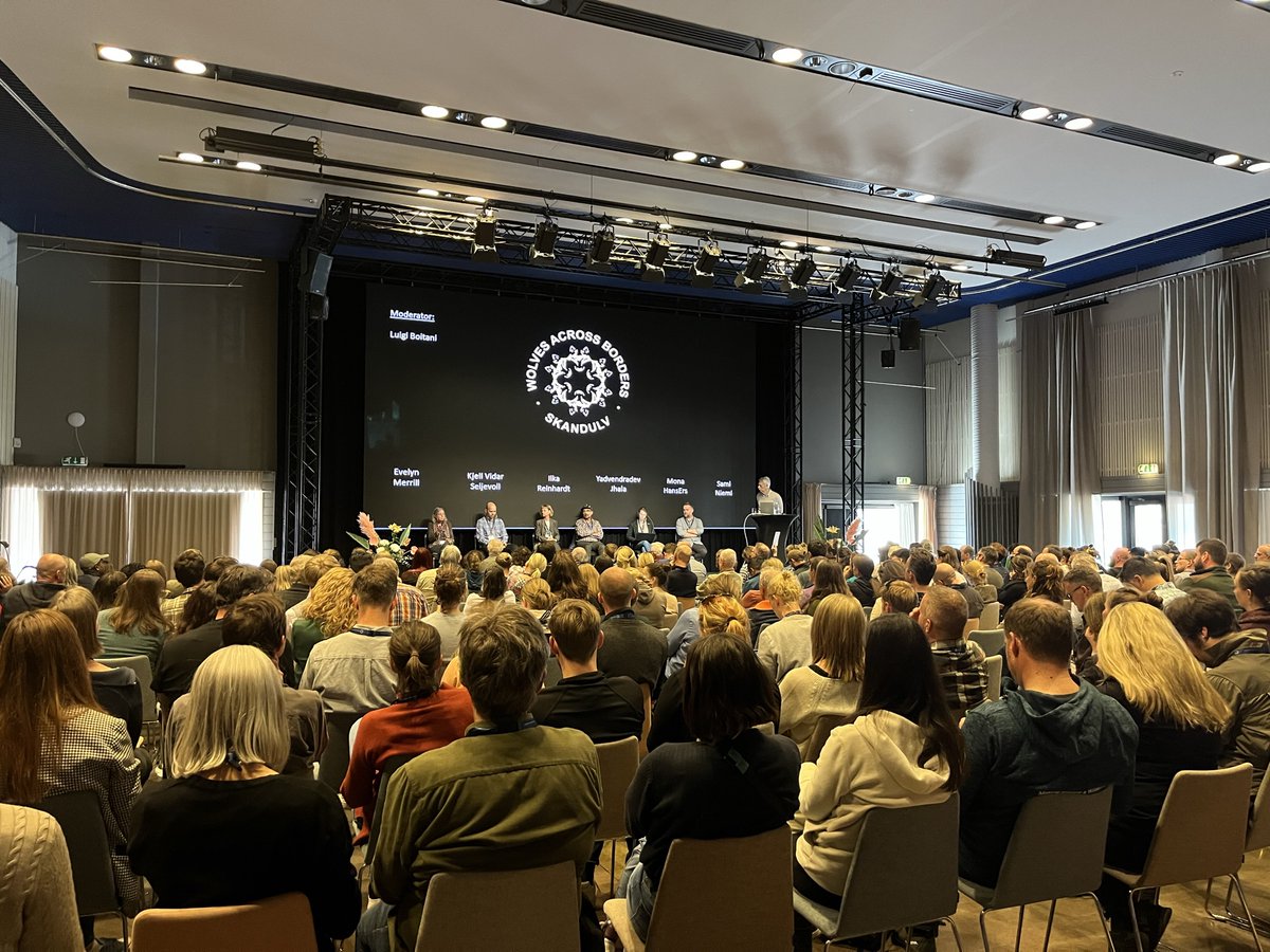 BethRSmith_'s tweet image. Reflecting on an incredible few days at @WolvesBorders... Been a privilege to present in the same space as so many legends of the wolf world and so many others doing amazing work 🐺 So much knowledge and so many new friends gained! Huge thanks to the organisers 👏 #WolvesBorders