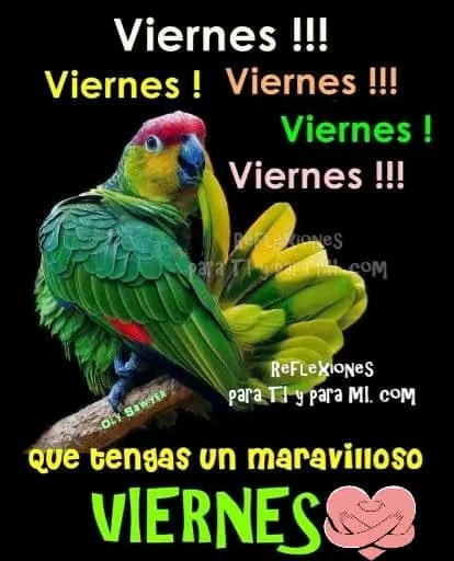 Noel urbaneja (@noel_urbaneja) on Twitter photo #12May| 🇻🇪 📢 ¡ETIQUETA DEL DÍA! ▶️
#DiplomaciaUniónYCrecimiento
¡Viva la Unión de los pueblos!
<a href="/noel_urbaneja/">Noel urbaneja</a> <a href="/UgasJenny/">Jenny de Ugas</a> <a href="/canalpatriadig/">Canal Patria Digital</a> <a href="/NaimerisSardina/">naimeris sardina</a> <a href="/ortiz_parisada/">parisada ortiz</a> <a href="/vejarami81/">Veronica</a> <a href="/cristob24262485/">cristobal figuera</a> <a href="/Ronal4825/">dobleRR</a> <a href="/NorelisMoreno9/">Dulce María</a> <a href="/yokbertbon30987/">yokbertbonett</a> <a href="/BonosSocial/">Bonos Protectores Social Al Pueblo</a> <a href="/CarnetDLaPatria/">Carnet de la patria</a> #12May| 🇻🇪 📢 ¡ETIQUETA DEL DÍA! ▶️
#DiplomaciaUniónYCrecimiento
¡Viva la Unión de los pueblos!
<a href="/noel_urbaneja/">Noel urbaneja</a> <a href="/UgasJenny/">Jenny de Ugas</a> <a href="/canalpatriadig/">Canal Patria Digital</a> <a href="/NaimerisSardina/">naimeris sardina</a> <a href="/ortiz_parisada/">parisada ortiz</a> <a href="/vejarami81/">Veronica</a> <a href="/cristob24262485/">cristobal figuera</a> <a href="/Ronal4825/">dobleRR</a> <a href="/NorelisMoreno9/">Dulce María</a> <a href="/yokbertbon30987/">yokbertbonett</a> <a href="/BonosSocial/">Bonos Protectores Social Al Pueblo</a> <a href="/CarnetDLaPatria/">Carnet de la patria</a>