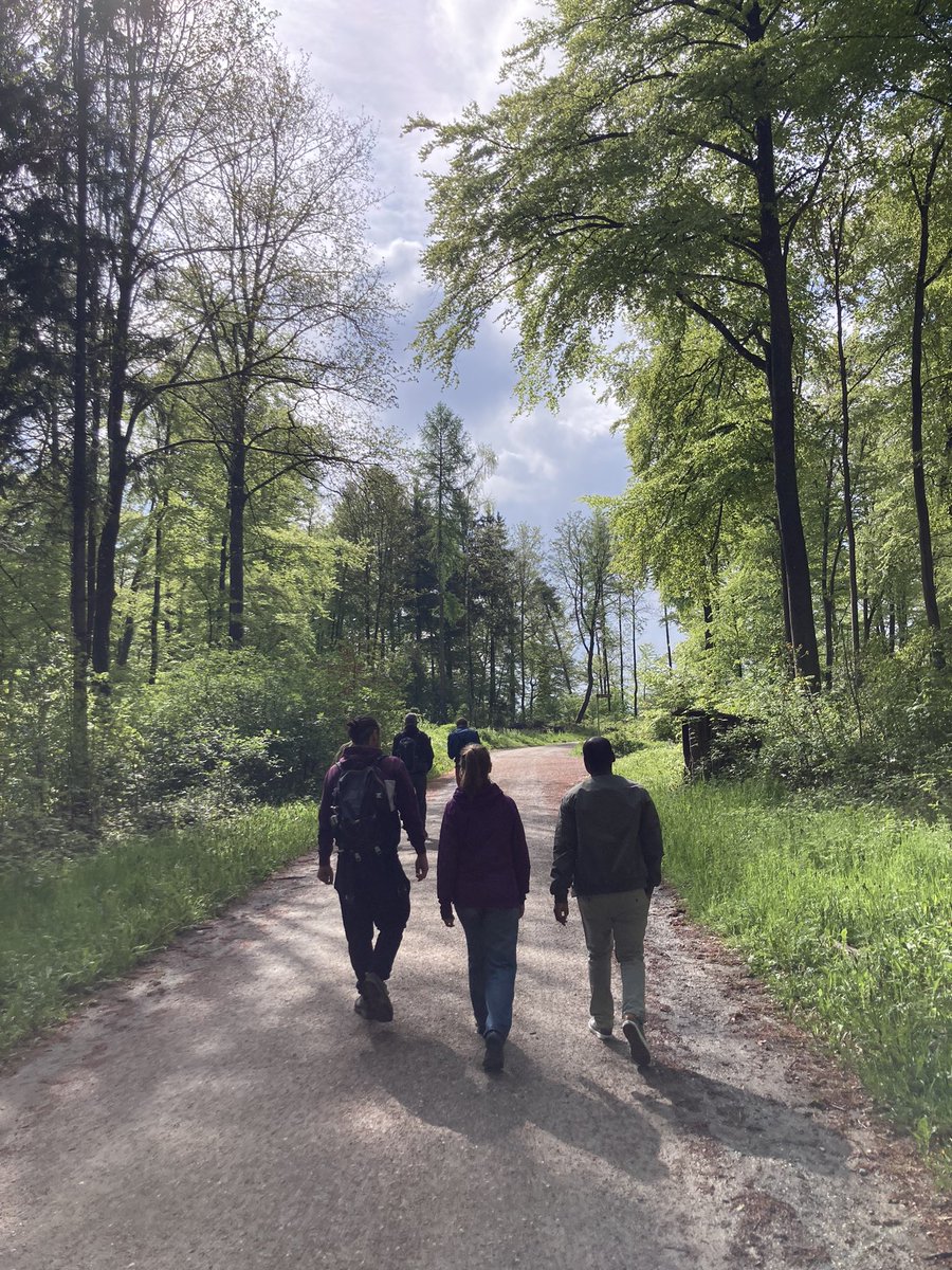Forest Ecology ETH tweet media