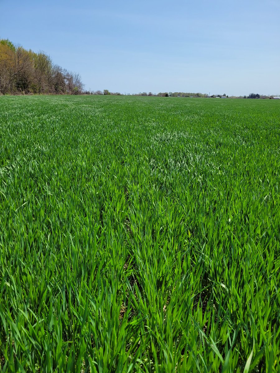 Emma Epp, CCA-ON tweet media