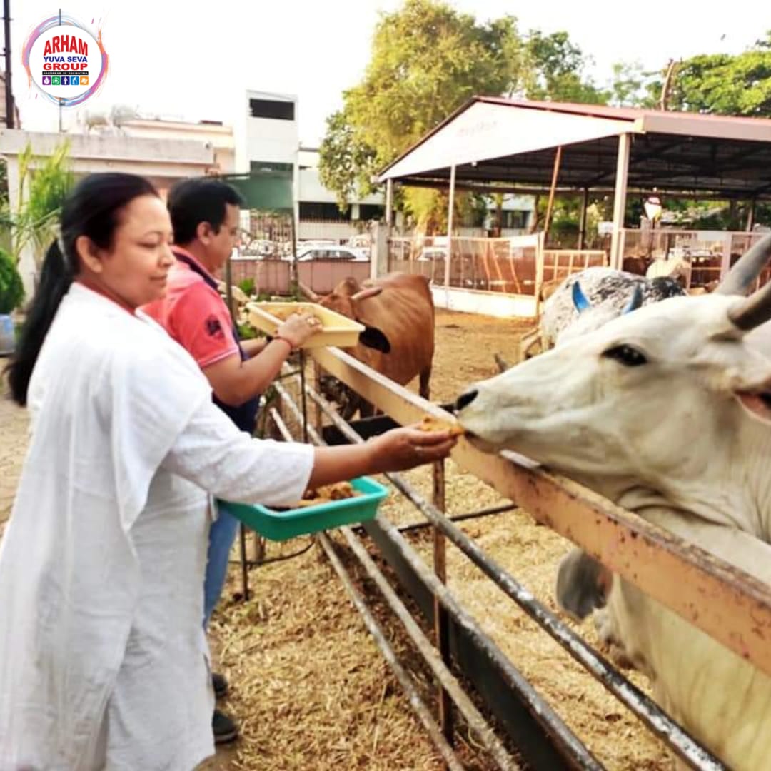 AYSGIndia's tweet photo. You can join us too in doing such good deeds .
Your Contribution Can Help make a difference.
Link in bio
#AYSG #amravati #gauseva #gaushala #cowshelter #jeevdaya #anukampa #oneteamonedream #spreadingcoloursofhumanity https://t.co/tf3rwbha5r