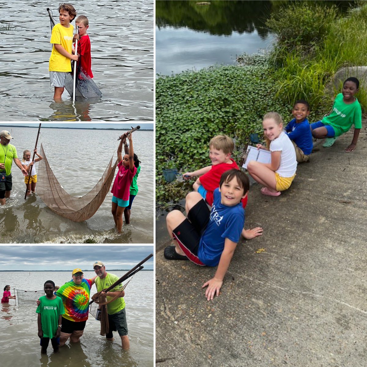 Just a few more 3rd Graders having the best day studying aquatic ecosystems at York River State Park!! ☀️🐠🌱 #seastarnation #wearewjcc