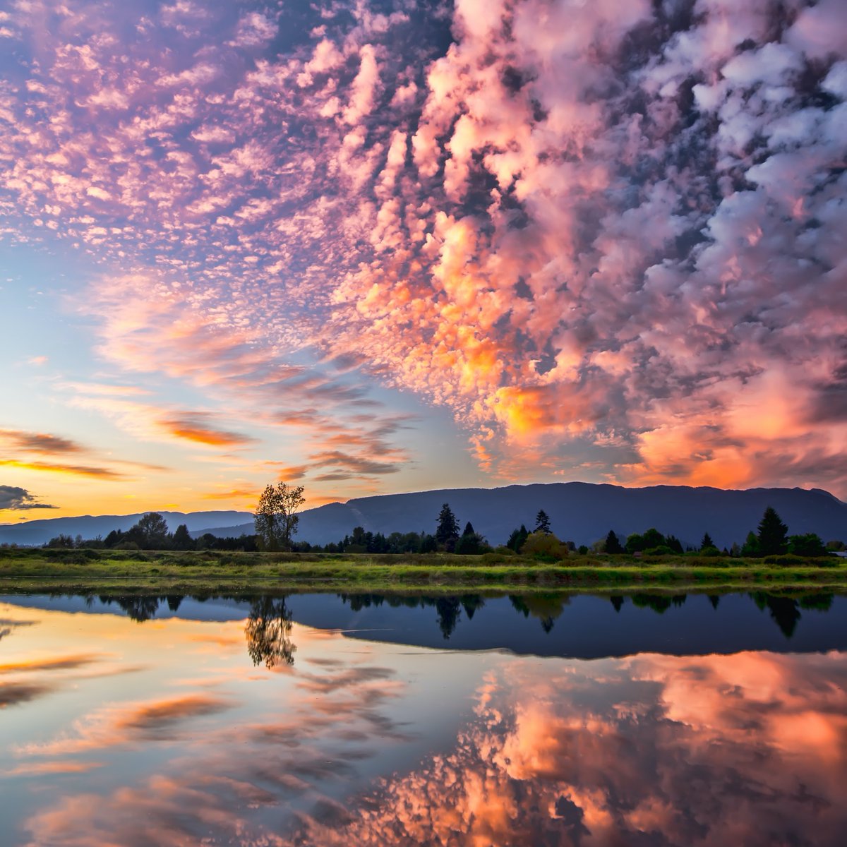 TravelwithKGS's tweet photo. Beautiful Cloudscape….
Sunset is the opening music of the night.
Follow @travelwithkgs for more Travel Content.

#photography #explorer #travellife #photooftheday #beautifuldestinations #wonderfulplaces  #sunsetsky #SunsetView #sunset_pics #cloudscape #cloudscapephotography https://t.co/h1IemGW7TY