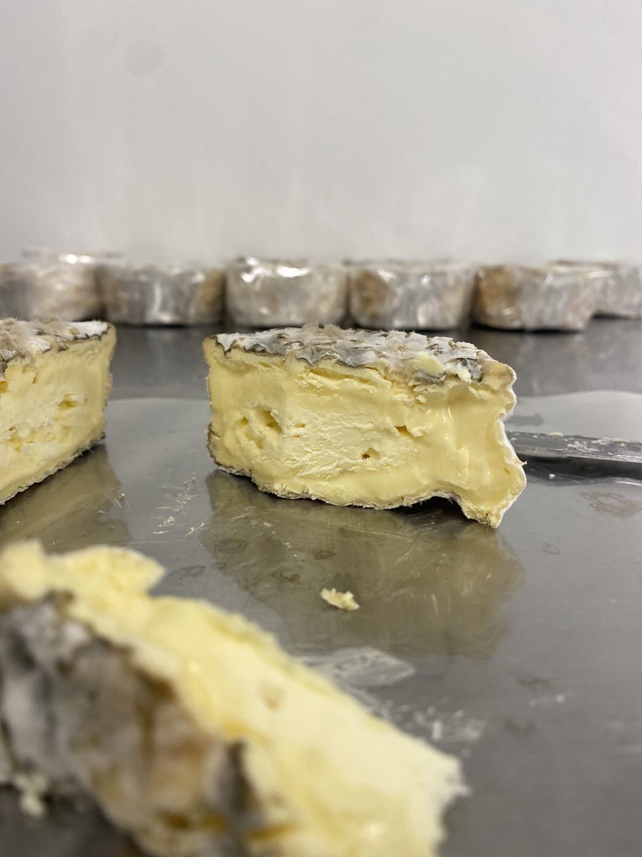 Little Bertie available in Long Buckby tomorrow absolutely epic batch of 🧀 cheese. #rawmilk #rawmilkcheese #northamptonshire #cheese #longbuckby