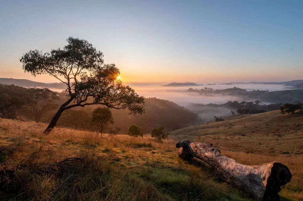 Sunrise from Anzac Day

Nikon Z6ii + Tamron 15-30mm f2.8

#melbourne #murchisongaplookout #victoria #australia #FocusAustralia #melbmoment #aussiephotos #melbourne_photoblog #australia_shotz #seeaustralia #melbournetouristguide #exploreaustralia #explori… instagr.am/p/CsJAB23vogO/