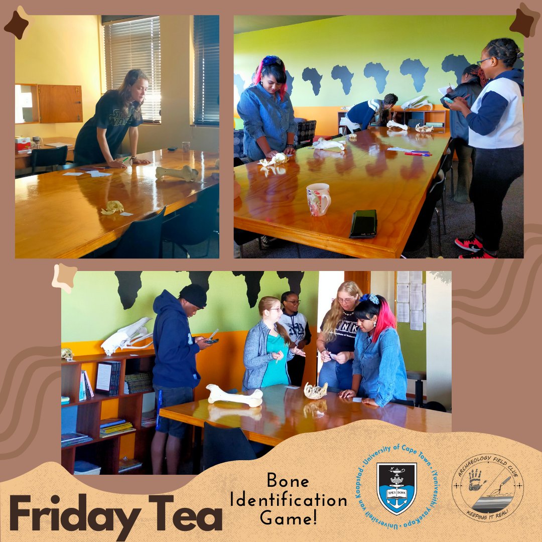 UCT_Archaeology's tweet photo. Last Friday, the AFC played an exciting game of bone identification, putting our knowledge to the test & learning a lot along the way! From warthog to steenbok to domestic cat, we tackled these tricky crania with enthusiasm and skill 🦴💪 #archaeology #fieldclub #learning #bones https://t.co/Q9q2WQZRlS