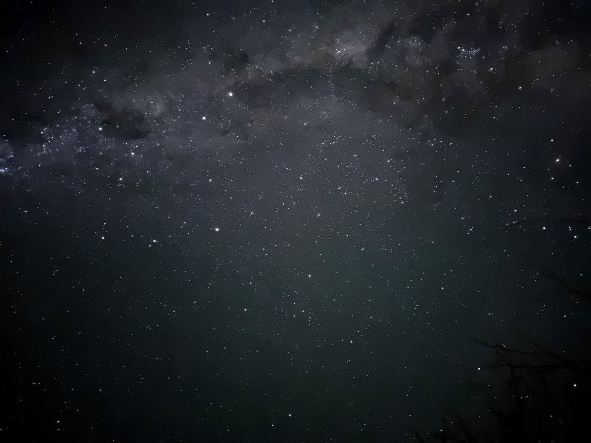 CharcoalBirb's tweet photo. #SoPaws2023 The night sky here is incredible https://t.co/ZnK9Tp9cIP