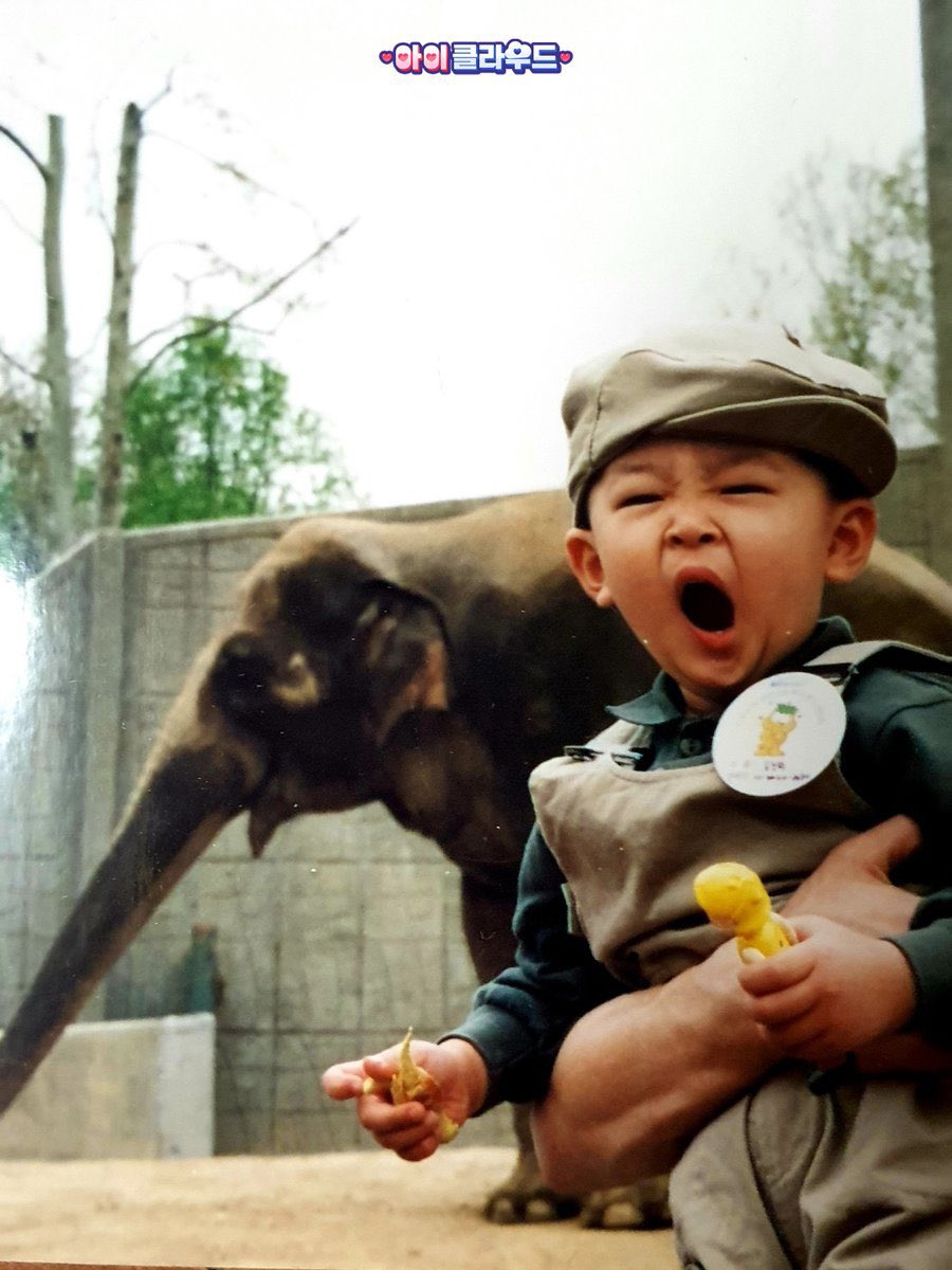 moo__us's tweet photo. かわいいｗｗｗｗｗｗｗｗｗｗｗ https://t.co/OAjnbhEKxc