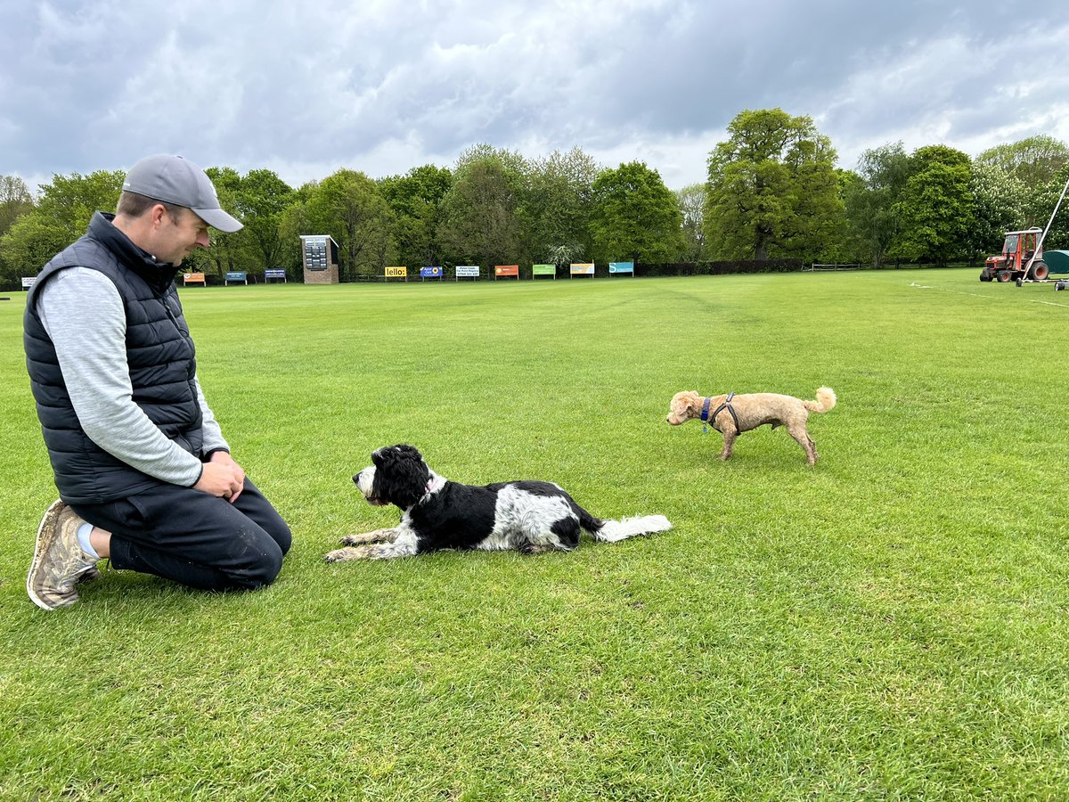 Alex Ellis (@alex3llis) on Twitter photo Serious meeting of the super powers at <a href="/horshamcc/">Horsham Cricket Club</a> this morning, Rocket <a href="/chrisnash23/">Chris Nash</a> & Indie Serious meeting of the super powers at <a href="/horshamcc/">Horsham Cricket Club</a> this morning, Rocket <a href="/chrisnash23/">Chris Nash</a> & Indie
