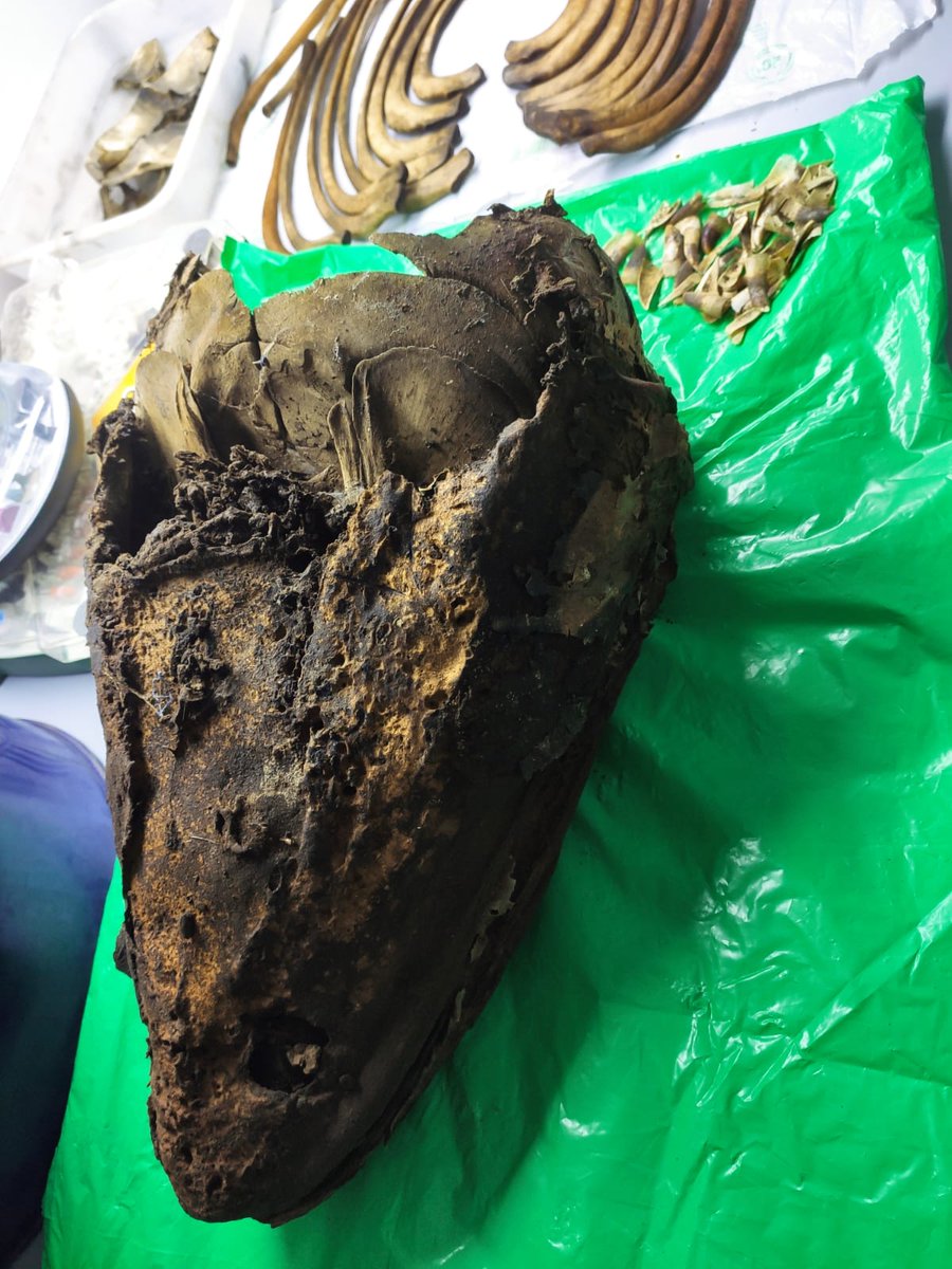 Start Blue ULL tweet media