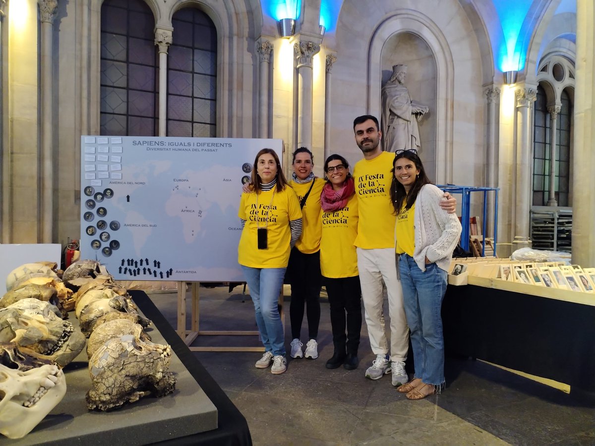 El nostre stand d'antropologia biològica. #antropologiabiologica
#FestaCienciaUB @UBDivulga