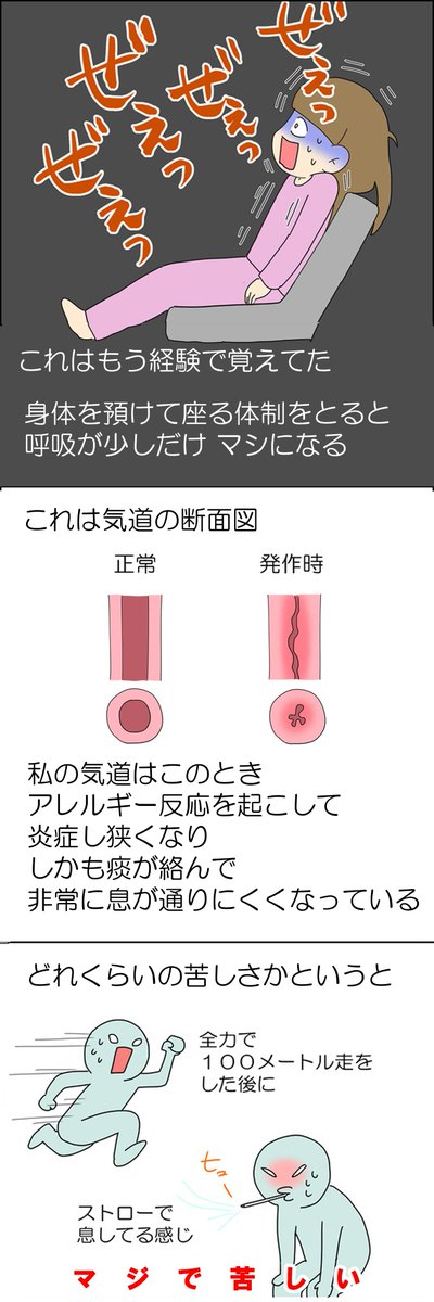 気管支喘息って息ができなくなる病なんです② 