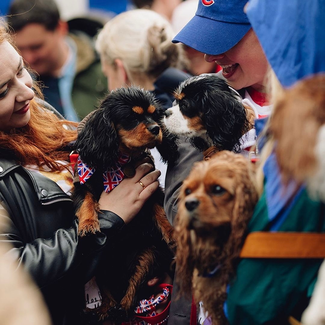 Sloane Street tweet media