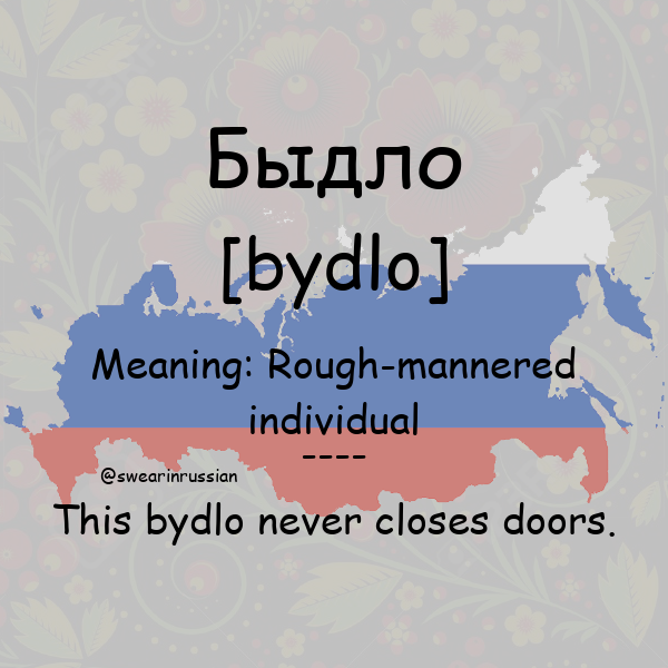 swearinrussian's tweet photo. Rough-mannered individual #Быдло #swearinrussian #russian #rt https://t.co/Gw451pIHWa