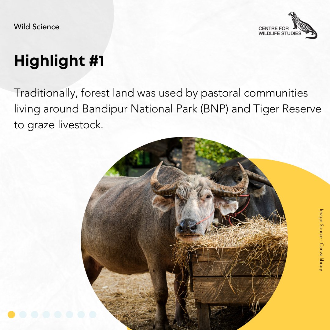 cwsindia's tweet photo. It is interesting to think about how global events approximately 15 thousand kilometers away will impact the ancient agro pastoral system of villages around Bandipur National Park.
Visit the link below to learn more
https://t.co/FGvidJUCJc
#CWSIndia #WildScience #research https://t.co/uzjEYiJI4c