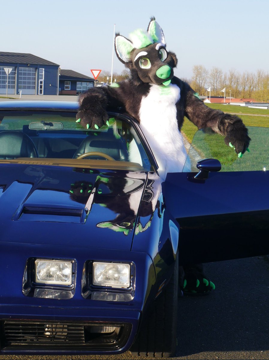 battery-fox🔋🦊🇩🇰 tweet media