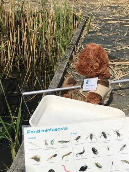 We're so looking forward to seeing Year 2 from @PurfleetPrimary here at #RSPBRainham Marshes tomorrow. We'll be investigating why plants smell and delving into the depths of our ponds to see what lives there. Bert is practising his pond dipping in readiness. See you all soon! 💚