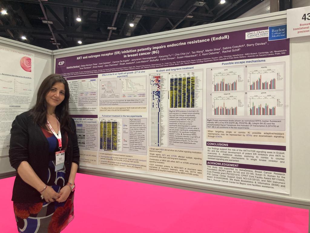 Please join <a href="/NardoneAgostina/">Agostina Nardone</a> at the poster session presenting “AKT and estrogen receptor (ER) inhibition potently impairs endocrine resistance” #ESMOBreast23
