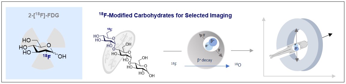 Congratulations to Emma and <a href="/Christina29892/">Christina Jordan</a> on publication of their <a href="/ChemSocRev/">Chem Soc Rev</a> review on "Fluorinated Carbohydrates for 18F-PET! We hope that this will lower the barrier to entering an exciting field in personalised medicine! <a href="/WWU_Muenster/">Universität Münster</a> <a href="/ERC_Research/">European Research Council (ERC)</a> 
pubs.rsc.org/en/content/art…