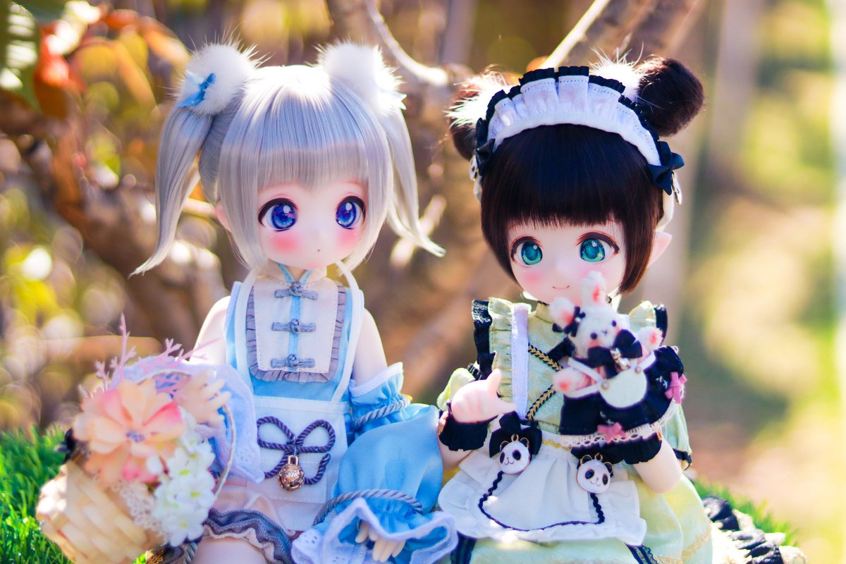 sumomorin39's tweet photo. 春と森とくまちゃんたち☘️
#Kumakoちゃん #うちのこかわいい https://t.co/kA4r5Oqcda