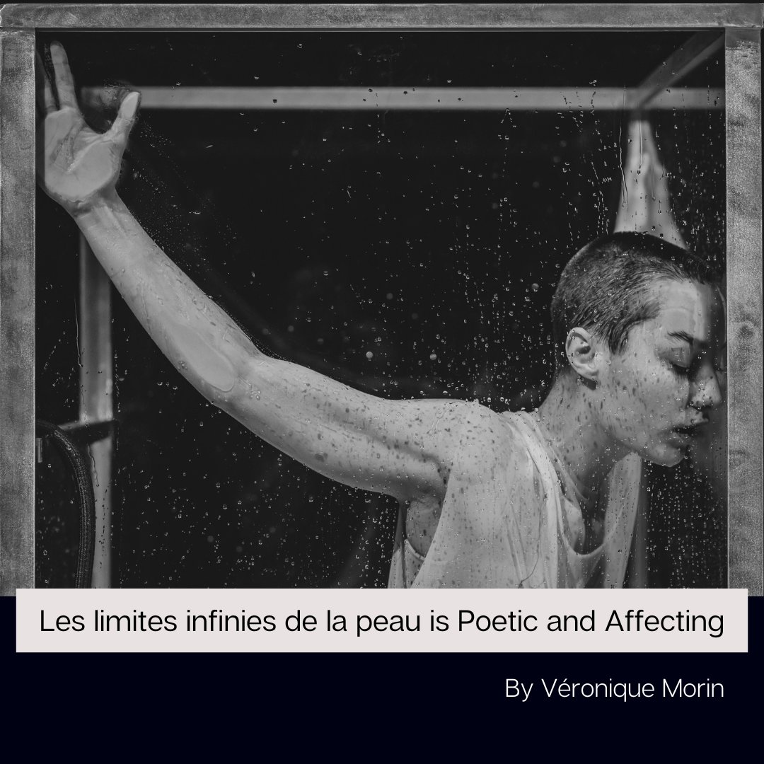 The Dance Current tweet media