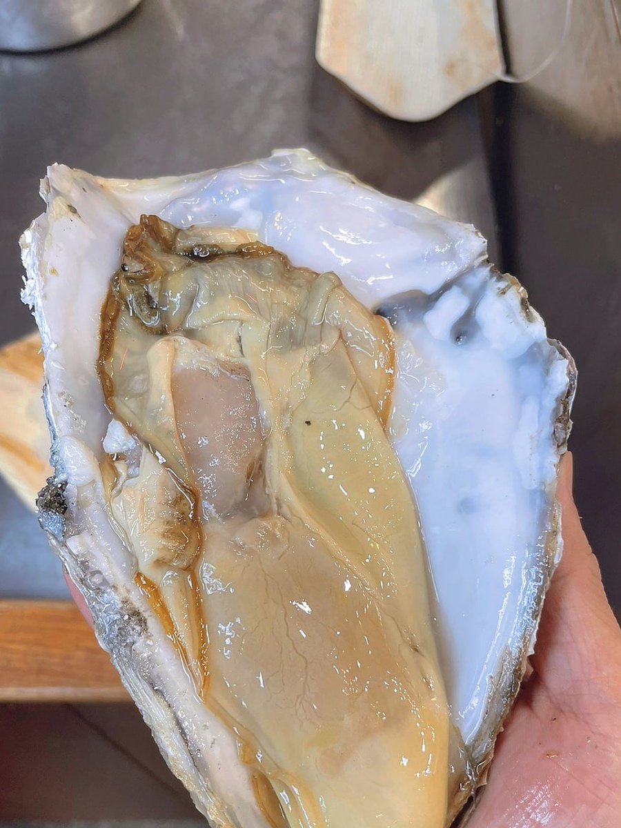 simwabawilliam's tweet photo. Borough Market���该是我在伦敦找到的最好的吃生蚝的地方了 非常新鲜人也很多 每次来都要排队,位置在London Bridge地铁站 google搜索很容易找到 进到市场里找买海鲜的区域就可以,开始以为只是壳比较大 肉会小一些 没想到肉也超级大个！需要用刀子切开吃！ https://t.co/8itPTnnuWQ