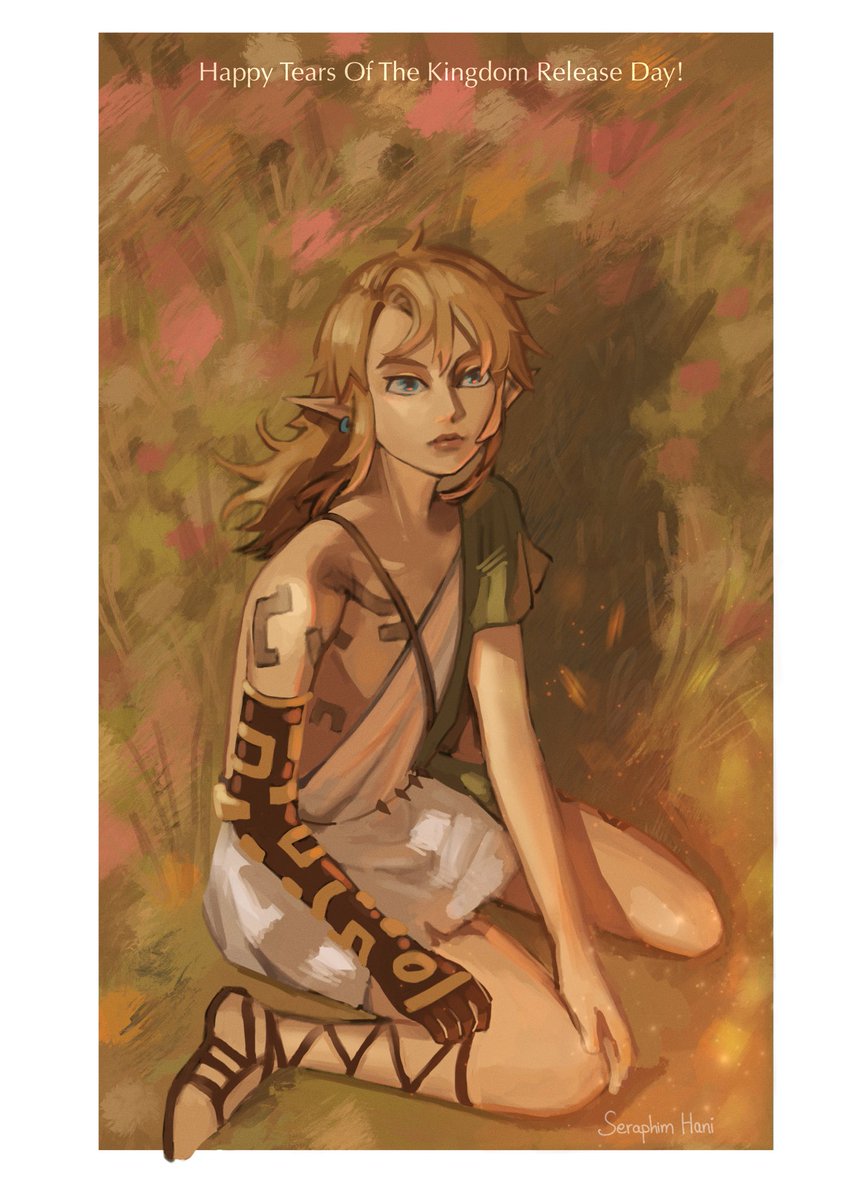 seraphim_hani's tweet photo. 発売おめでとうございます！ #Zelda #TearsOfTheKingdom #ゼルダの伝説 https://t.co/fwW72VwTQ2