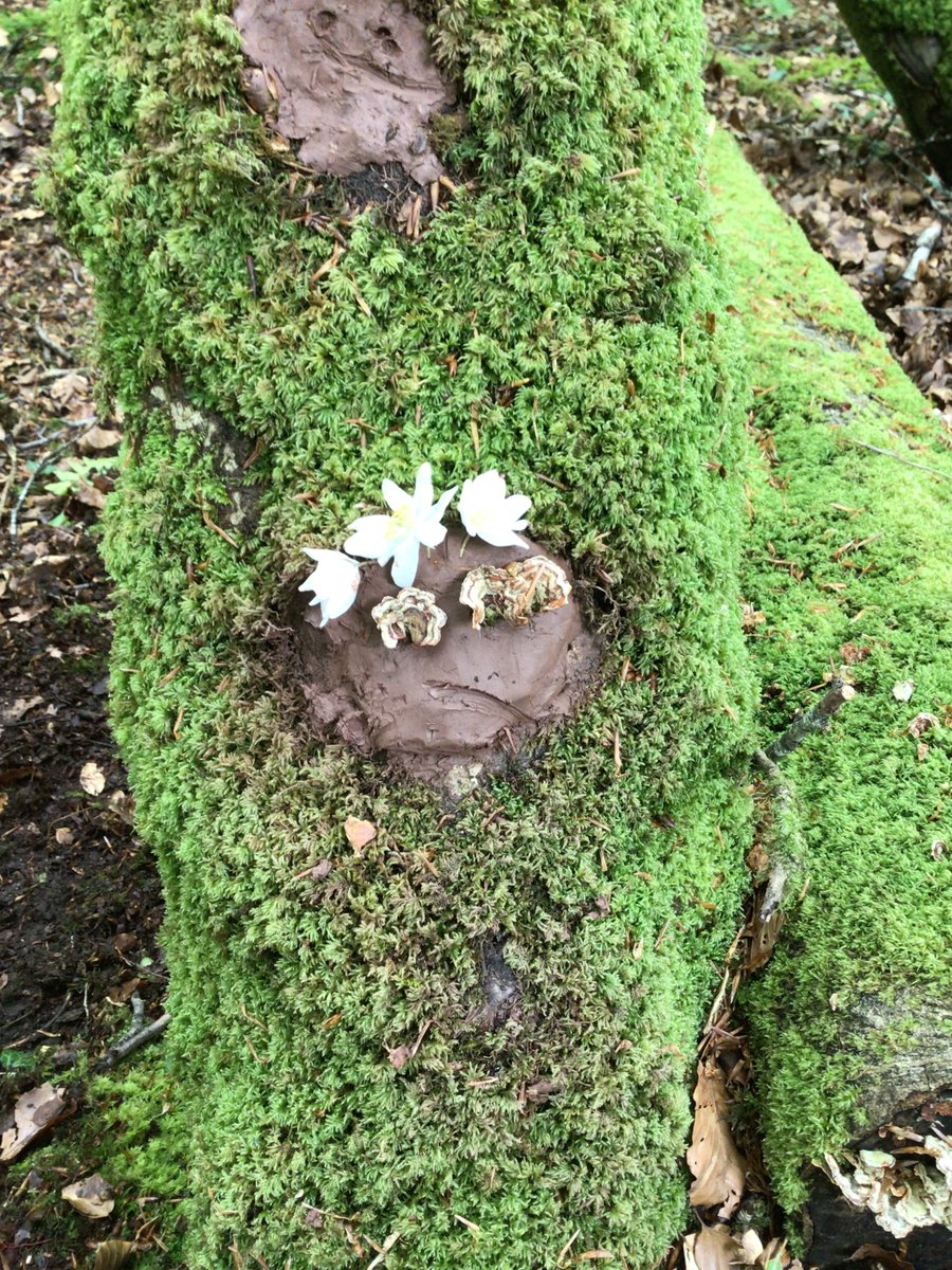 CaradonAPA's tweet photo. Primary Class 2 have been to Forest School this week, creating Funky Forest Faces from clay and other natural materials. #ForrestSchool https://t.co/reIZhn1mQj