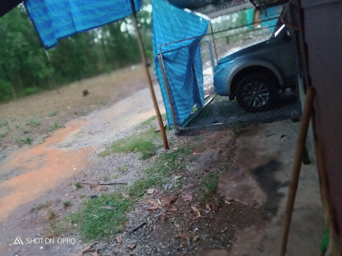r_tmul's tweet photo. มาๆคับสิไปใต้
กบ หรือนอน https://t.co/vLjUfHinb9