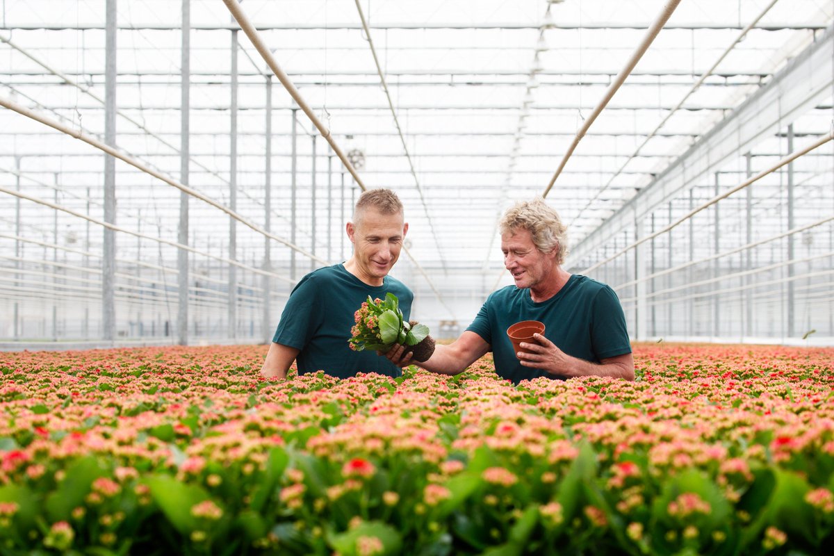 Onlangs zijn we met #Greenhouse #sustainability
gestart om de footprints van onze producten te berekenen. Zo zien we precies wat onze #footprint op het gebied van bijvoorbeeld #co2 of #waterkwaliteit is. Met deze inzichten kunnen we nóg gerichter #verduurzamen!