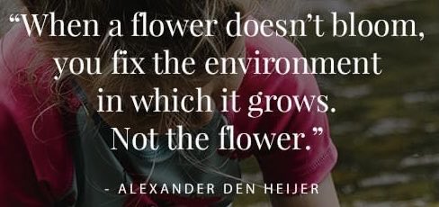 LGpsllc's tweet image. Gm &amp;amp; happy Friday to my #GalaFam! And for those headed to ⁦@veecon⁩ I cannot wait to see you all there next week!  #thoon 
#WanderingWizard 
#perspective ❤️