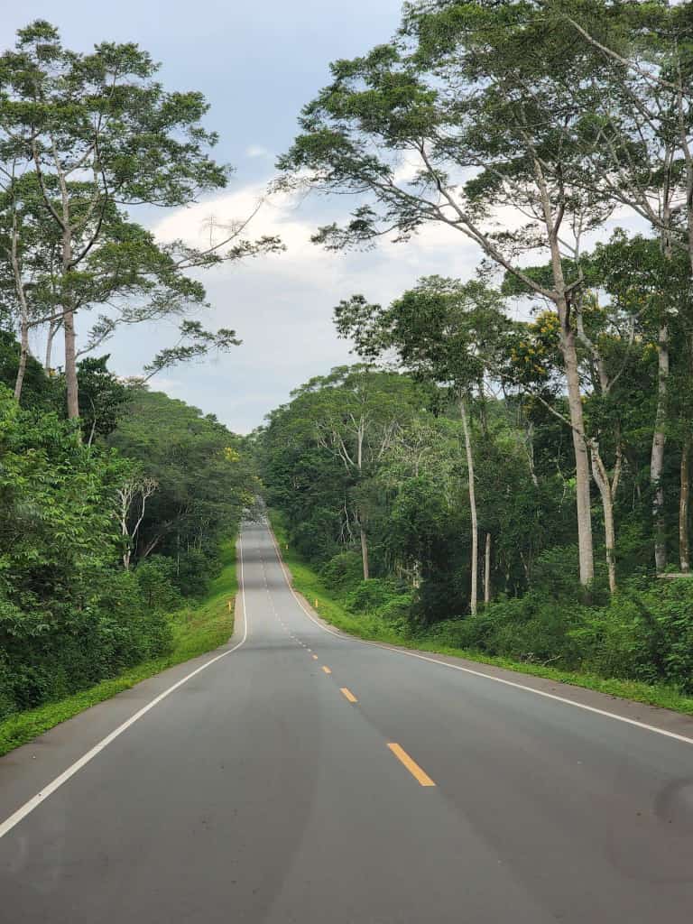 Acholi goddd tweet media