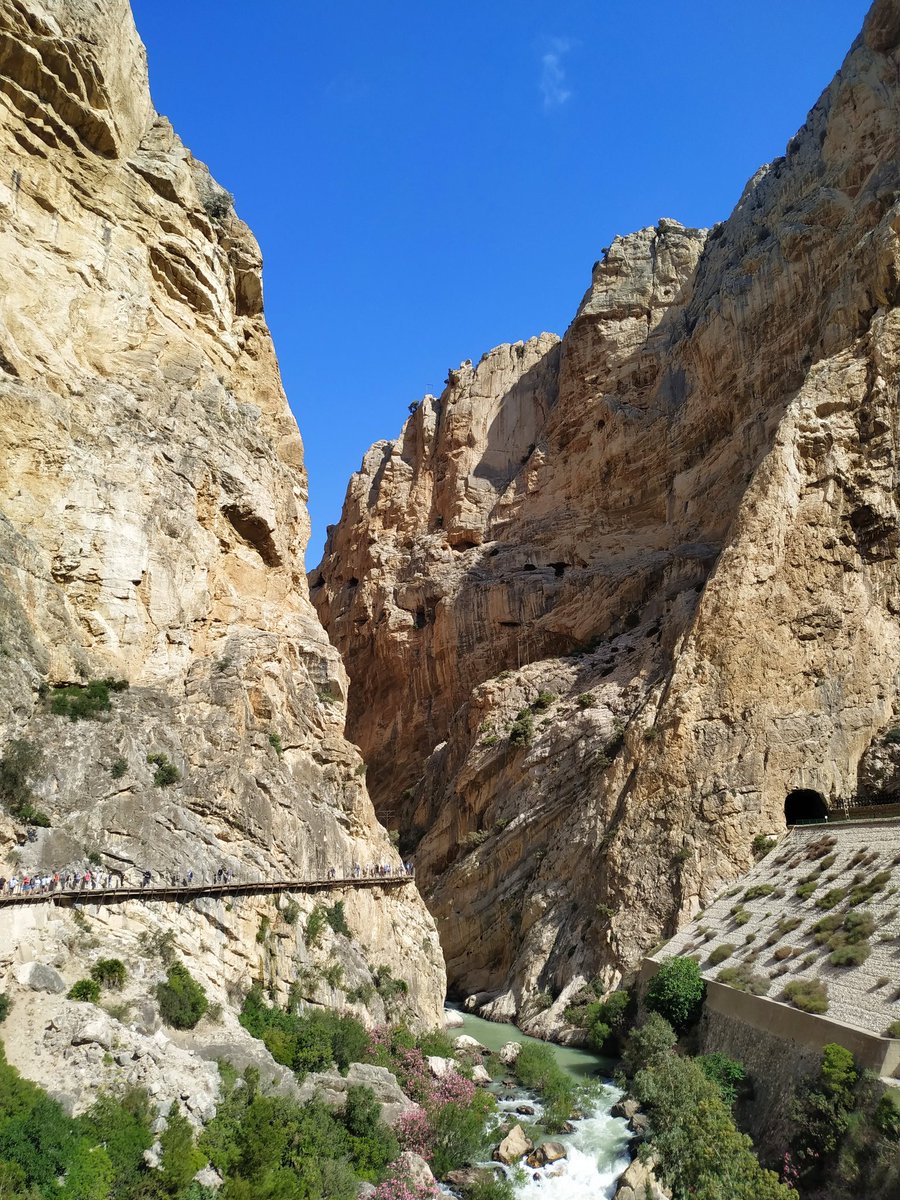 We had a blast in Caminito del Rey, incredible geology and so many cool birds! Many lifers again for many of our participants #SAPE23