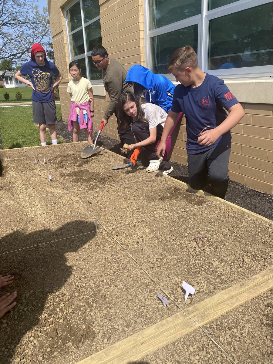 Potatoes are in!   🥔 #TheMartian #schoolgarden <a href="/MTwpMS/">MTwp Middle School</a>