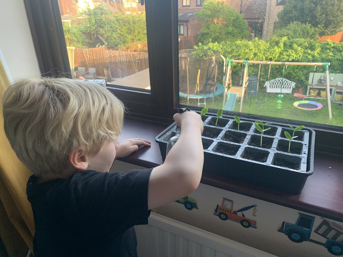 LSPage1's tweet photo. @Stukeley2021 🌱 💧 ☀️ https://t.co/P7yl1tqWRG
