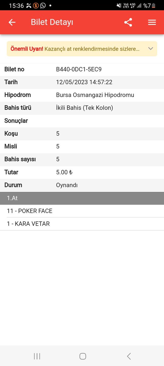 Kısa günün karı diyelim