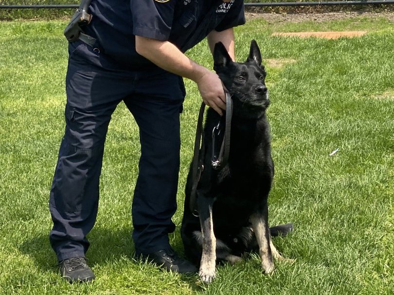 Heather Meidinger tweet media